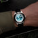Earthrise WWF Partnership, Automatic / 2025 Edition by AV86 with sapphire crystal, automatic movement, and black fabric strap on wrist