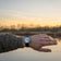 Earthrise WWF Partnership, Automatic / 2025 Edition by AV86 with automatic movement, sapphire crystal, and black rubber strap outdoors at sunset